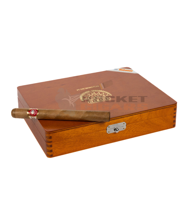 Rocket Cigar On Top
