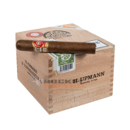 rocket cigar on top
