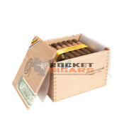 Partagas Shorts