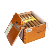 Cohiba Siglo VI 